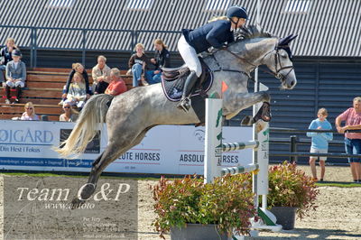 Absolut horses
youngster finale
Nøgleord: anni pape;cordino