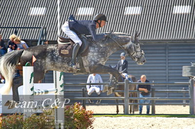 Absolut horses
youngster finale
Nøgleord: jonathan hvalsøe saul;charlie weasley