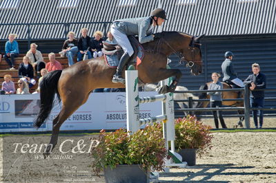 Absolut horses
youngster finale
Nøgleord: ian fives;cali blue ps