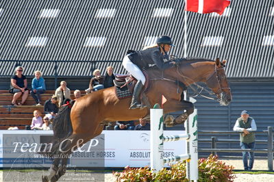 Absolut horses
youngster finale
Nøgleord: tina lund;even floww hbr