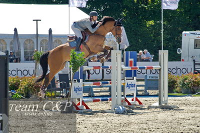 Absolut horses
youngster finale
Nøgleord: francisco caba guil;jodocus vr
