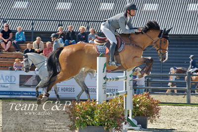 Absolut horses
youngster finale
Nøgleord: francisco caba guil;jodocus vr