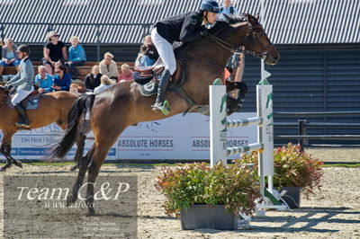 Absolut horses
youngster finale
Nøgleord: mikkel friedrich;unity f