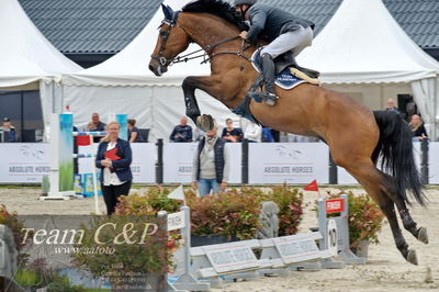 Absolut horses
1.kval dm senior
Nøgleord: torben frandsen;daughtry mak