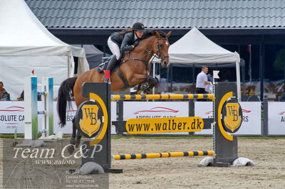 Absolut horses
1.kval dm senior
Nøgleord: charlotte kondrup;dithmarsia