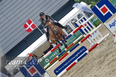 Absolut horses
1.kval dm senior
Nøgleord: charlotte kondrup;dithmarsia