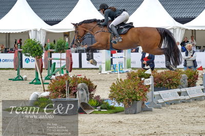 Absolut horses
1.kval dm senior
Nøgleord: charlotte kondrup;dithmarsia