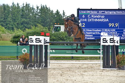 Absolut horses
1.kval dm senior
Nøgleord: charlotte kondrup;dithmarsia