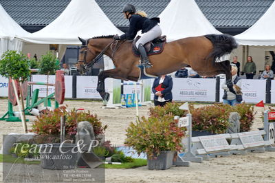 Absolut horses
1.kval dm senior
Nøgleord: tina lund;cloi