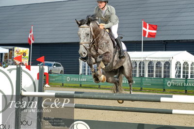 Absolut horses
la2 120cm
Nøgleord: emilie louise weilsby;combado