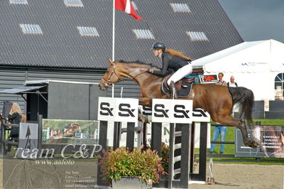 Absolut horses
la2 120cm
Nøgleord: mette askham jensen;destany
