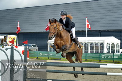 Absolut horses
la2 120cm
Nøgleord: mette askham jensen;destany