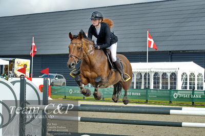 Absolut horses
la2 120cm
Nøgleord: mette askham jensen;destany