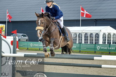 Absolut horses
la2 120cm
Nøgleord: rasmine laudrup;clear fight