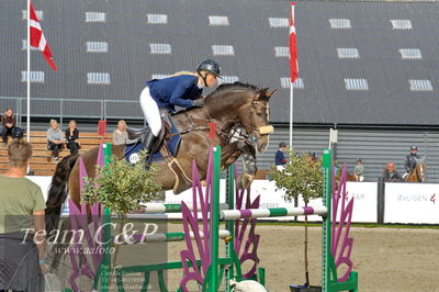 Absolut horses
la2 120cm
Nøgleord: rasmine laudrup;clear fight