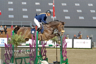 Absolut horses
la2 120cm
Nøgleord: rasmine laudrup;clear fight