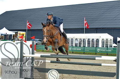 Absolut horses
la2 120cm
Nøgleord: claus hundebøl;unicorn's champion