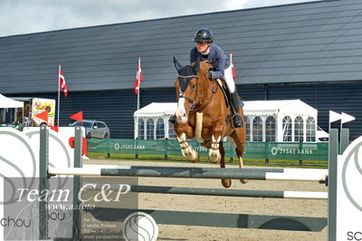 Absolut horses
la2 120cm
Nøgleord: julia c foss;bendixen's capish