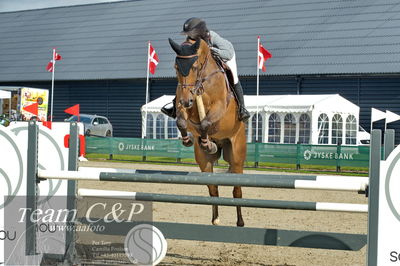 Absolut horses
la2 120cm
Nøgleord: jannike west schou;independent (swb)
