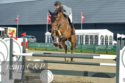Absolut horses
la2 120cm
Nøgleord: jannike west schou;independent (swb)