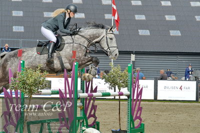 Absolut horses
la2 120cm
Nøgleord: sigrid sommer;dior