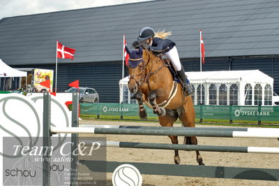 Absolut horses
la2 120cm
Nøgleord: nicka normann langholm;cherrio