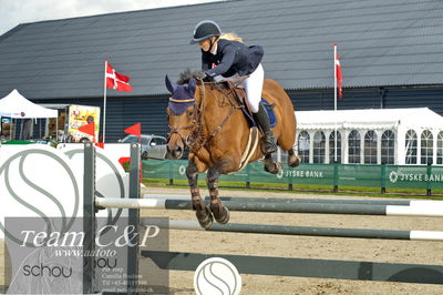 Absolut horses
la2 120cm
Nøgleord: nicka normann langholm;cherrio