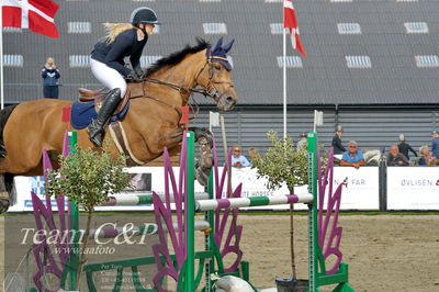 Absolut horses
la2 120cm
Nøgleord: nicka normann langholm;cherrio