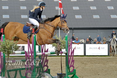 Absolut horses
la2 120cm
Nøgleord: nicka normann langholm;cherrio
