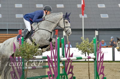Absolut horses
la2 120cm
Nøgleord: jack ray nielsen;gerdings  carrie