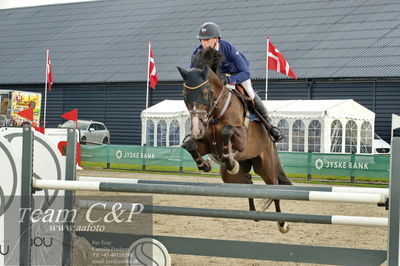 Absolut horses
la2 120cm
Nøgleord: jeff paw nielsen;raypawes rockalido c