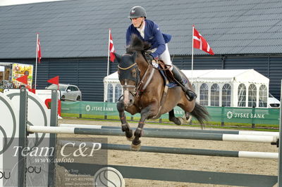 Absolut horses
la2 120cm
Nøgleord: jeff paw nielsen;raypawes rockalido c
