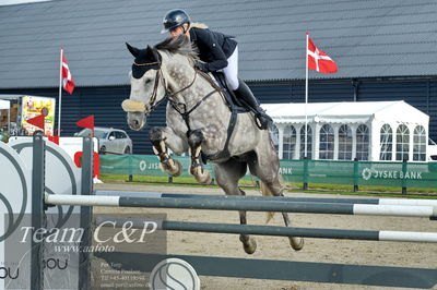 Absolut horses
la2 120cm
Nøgleord: rikke korntved nissen;bøgelys fire ball