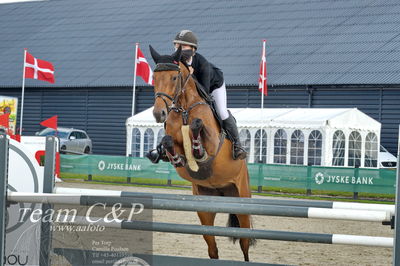 Absolut horses
la2 120cm
Nøgleord: filippa sand ibsen;dream of love