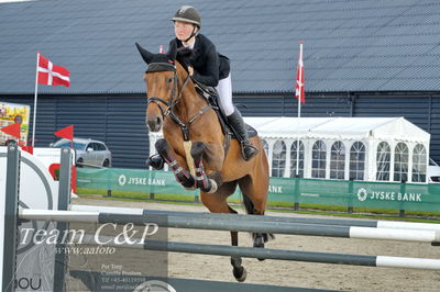Absolut horses
la2 120cm
Nøgleord: filippa sand ibsen;dream of love