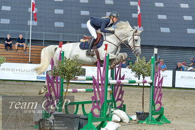 Absolut horses
la2 120cm
Nøgleord: matilde baaring kjærgaard;calgary bgm z