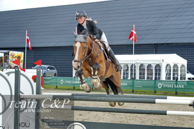 Absolut horses
la2 120cm
Nøgleord: karoline vistensen graversen;farida