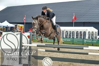 Absolut horses
la2 120cm
Nøgleord: nicoline hyldahl;gredstedgaards lancaster