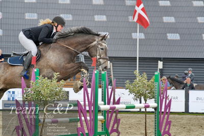 Absolut horses
la2 120cm
Nøgleord: nicoline hyldahl;gredstedgaards lancaster