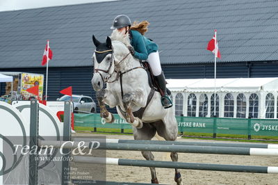 Absolut horses
la2 120cm
Nøgleord: linnea ildsøe madsen;medina-em
