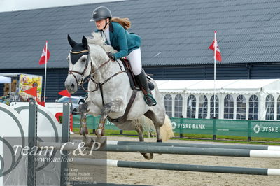 Absolut horses
la2 120cm
Nøgleord: linnea ildsøe madsen;medina-em