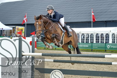 Absolut horses
la2 120cm
Nøgleord: nikoline gulstad;natalon van't krekenhof