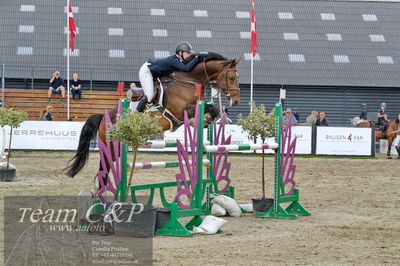 Absolut horses
la2 120cm
Nøgleord: nikoline gulstad;natalon van't krekenhof