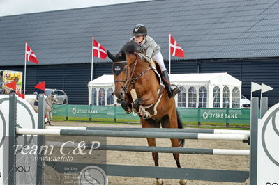 Absolut horses
la2 120cm
Nøgleord: emilie louise weilsby;magnum van't lindehof