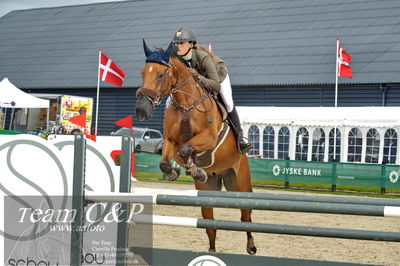 Absolut horses
la2 120cm
Nøgleord: alberte johanne juhl sørensen;genjolie d n