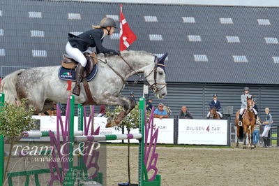 Absolut horses
la2 120cm
Nøgleord: sarah emilie nørgaard;chanel