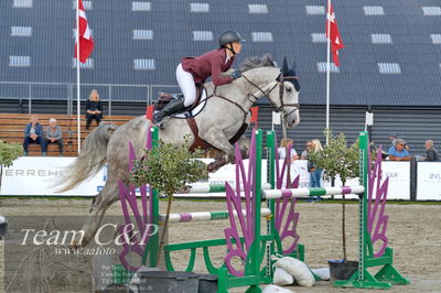 Absolut horses
la2 120cm
Nøgleord: julie højer thomsen;untouchable olympic