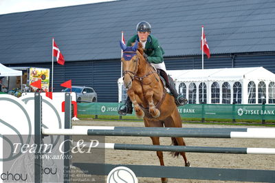 Absolut horses
la2 120cm
Nøgleord: konstantin deeken künnemann;shivaliesje-vitz