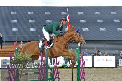Absolut horses
la2 120cm
Nøgleord: konstantin deeken künnemann;shivaliesje-vitz