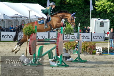 Absolut horses
la2 120cm
Nøgleord: astrid lund wisholm;baleice
